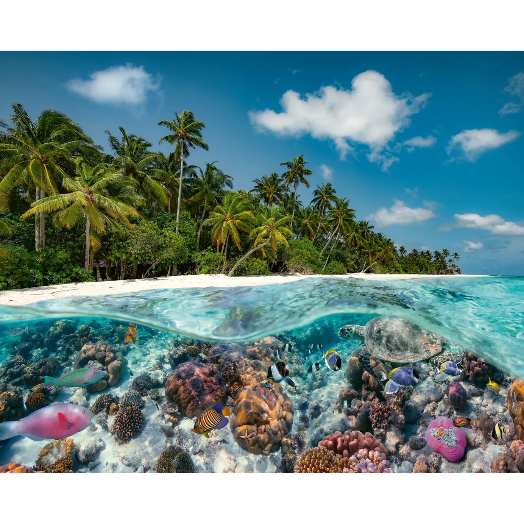 Ravensburger puzzel "Een duik op de Maledieven" stukjes