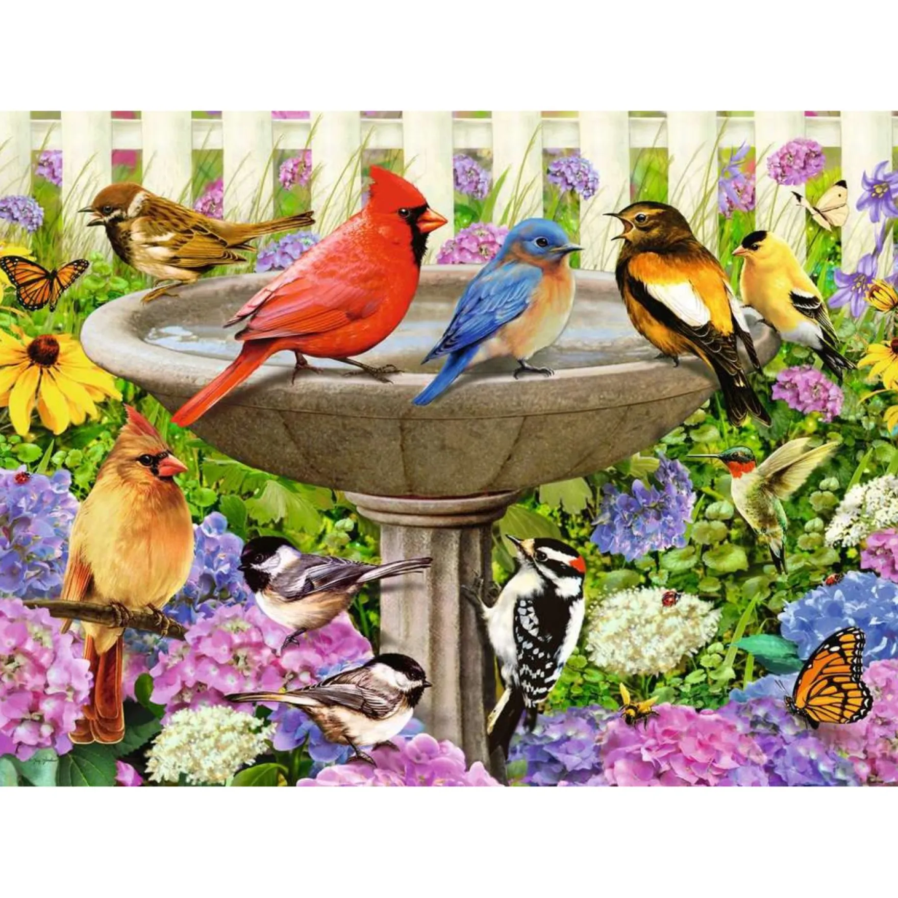 Ravensburger Puzzel Het Vogelbad 500 Stukjes Extra Groot