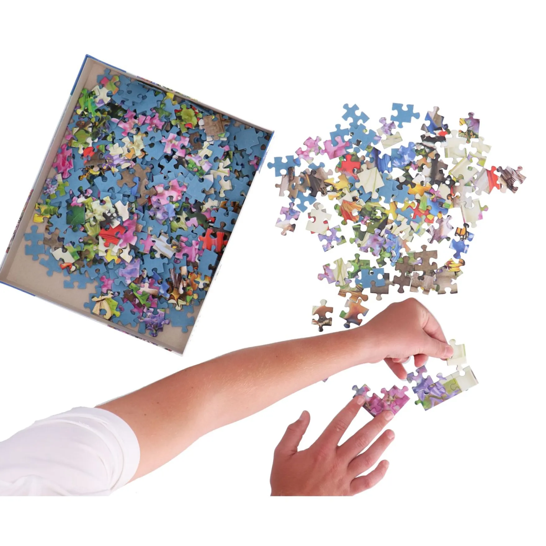 Ravensburger Puzzel Het Vogelbad 500 Stukjes Extra Groot