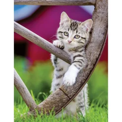 Ravensburger puzzel poezen 2 x 500 stukjes