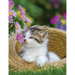 Ravensburger puzzel poezen 2 x 500 stukjes