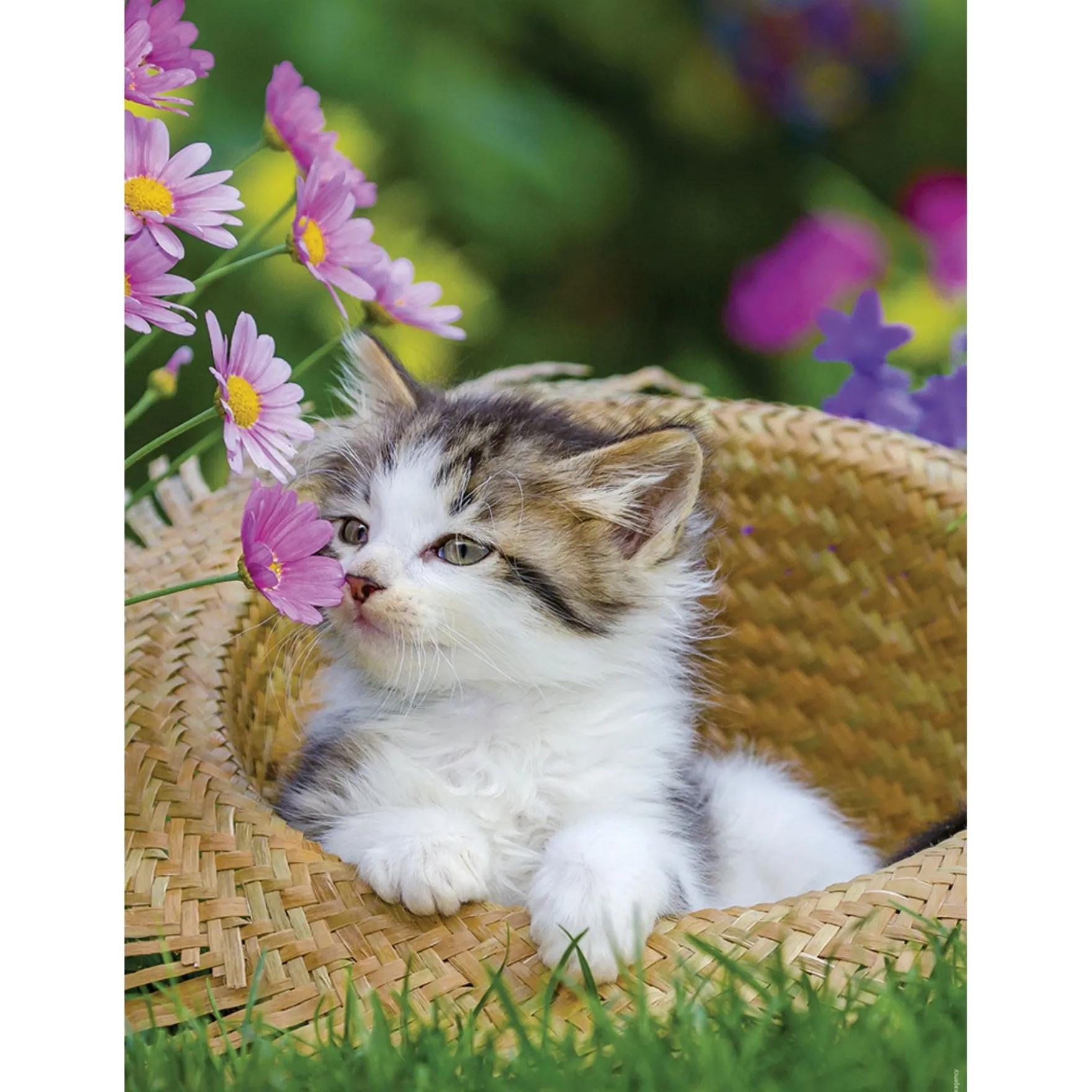 Ravensburger puzzel poezen 2 x 500 stukjes