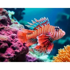 Ravensburger Puzzel Rode Koraalduivel 500 Stukjes