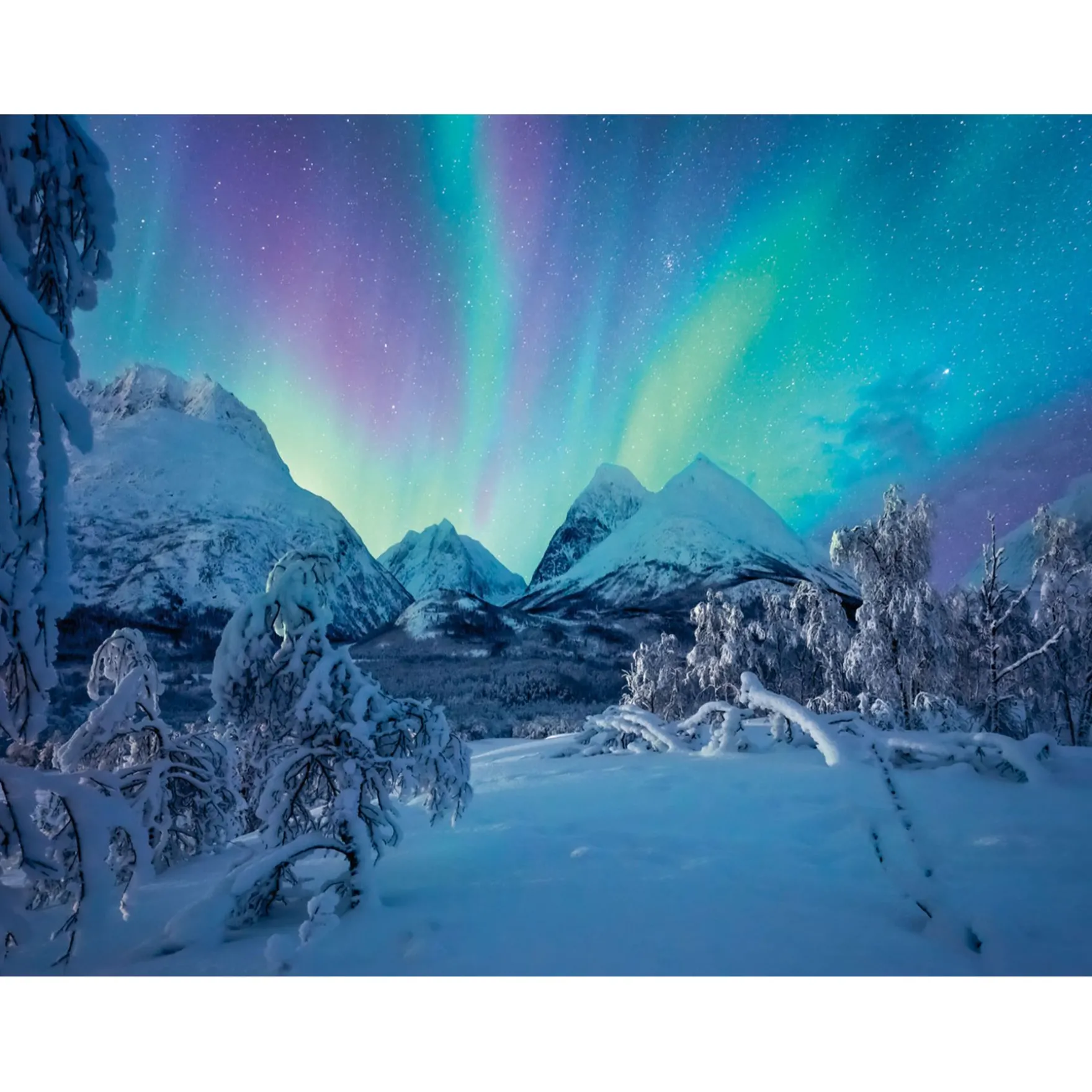 Ravensburger Puzzel wenn die nordlichter tanzen 1500 stukjes