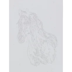 Schilderen op nummer paard