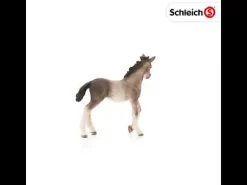 Schleich 13822  Andalusisch Veulen