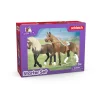 Schleich 42738 Horse Club Paso Peruano Starter Set