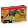 Schleich 42603 Moose with Calf (NatGeo)