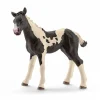 Schleich 13803 Pinto Veulen