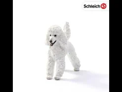 Schleich 13917 Poedel