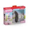 Schleich 42584 Startset Sofia & Dusty