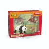 Schleich 42736 Wild Life "Asien" Starter Set