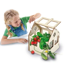 SES Broeikas Met Groenten