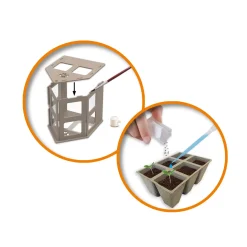 SES Broeikas Met Groenten