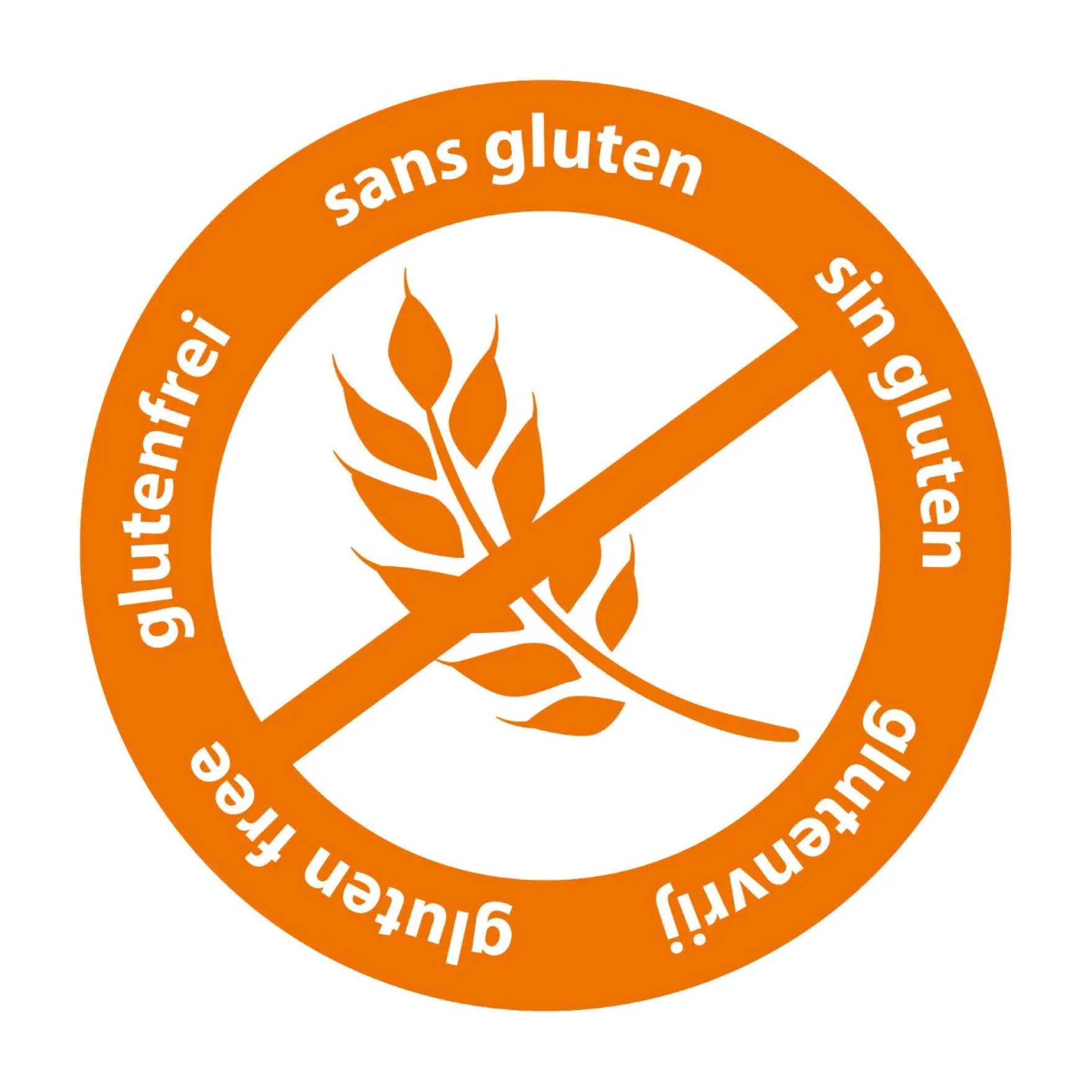 SES My First Klei Opdrachtenkaart Dier