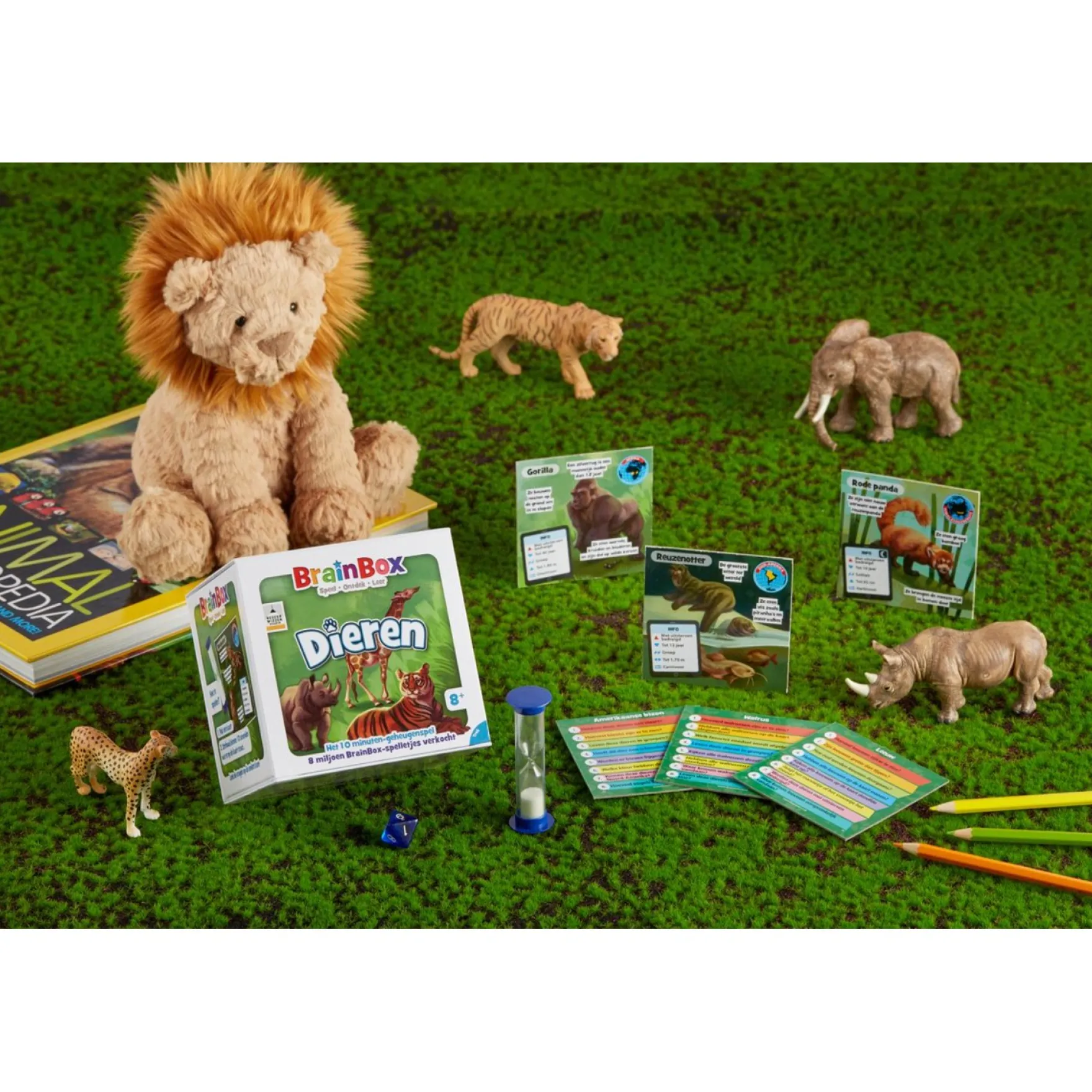 Spel Brainbox Dieren