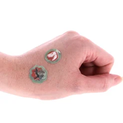 Stickerset Dinosaurus 500-Delig