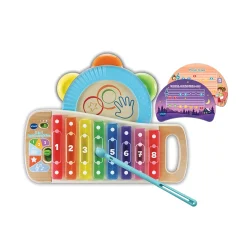 Vtech Baby 2 In 1 Regenboogxylofoon