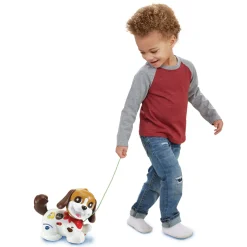 Vtech Baby Mijn Eerste Puppyvriendje