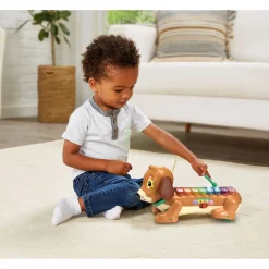 Vtech Baby Timmie Teckel Xylofoon