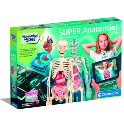 Wetenschap anatomie nl