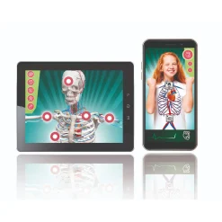 Wetenschap anatomie nl