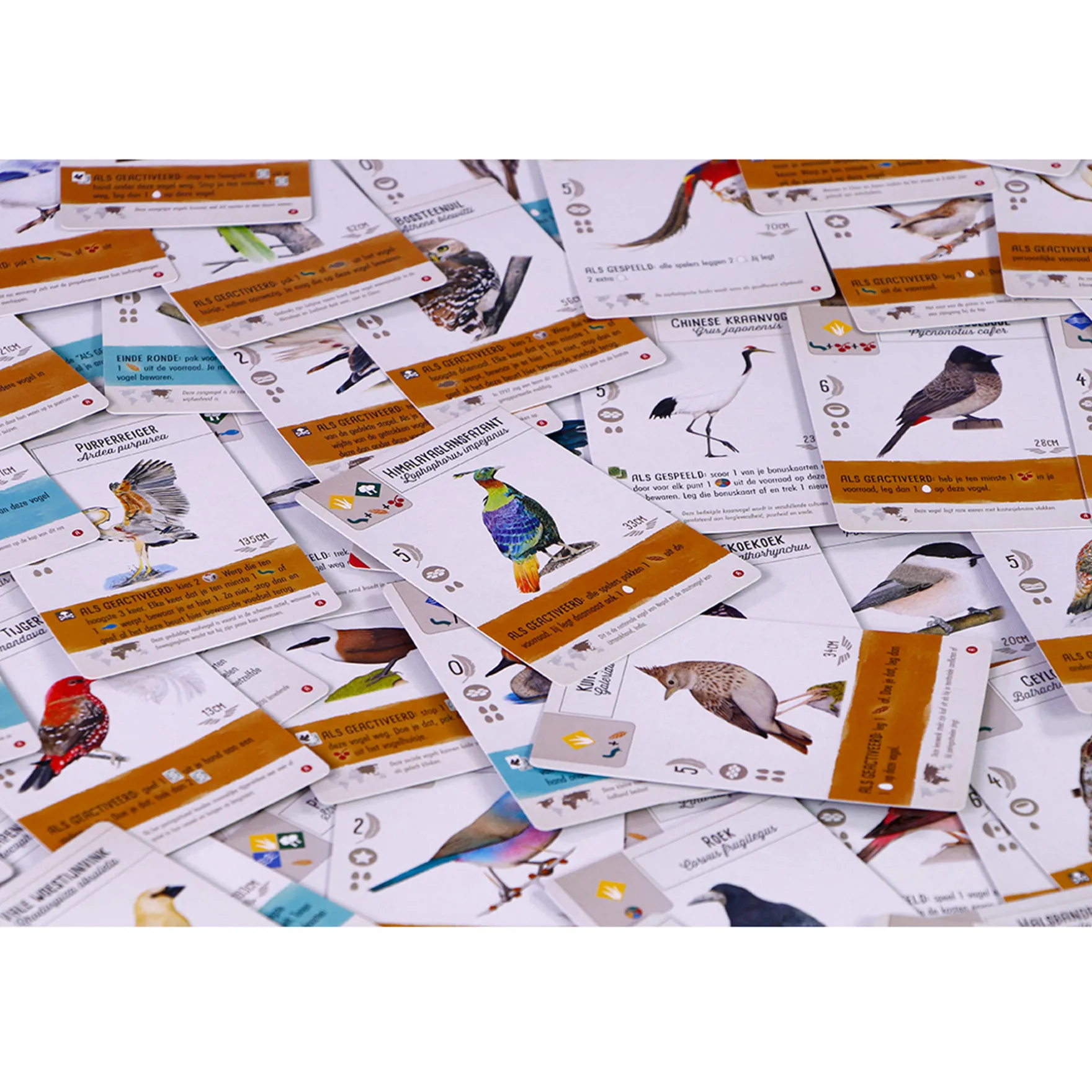 Wingspan Uitbreiding Azië - Bordspel