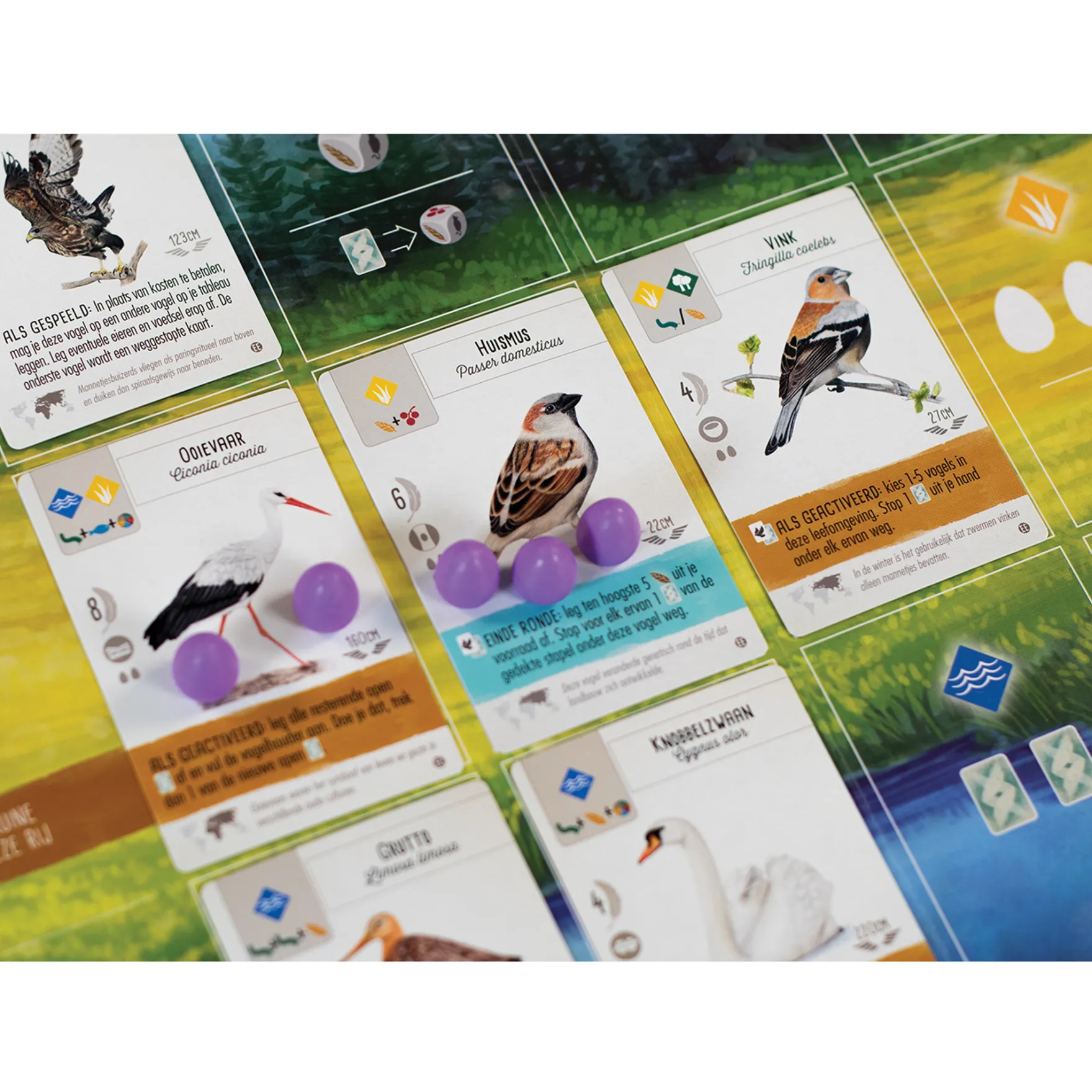 Wingspan Uitbreiding: Europa - Bordspel