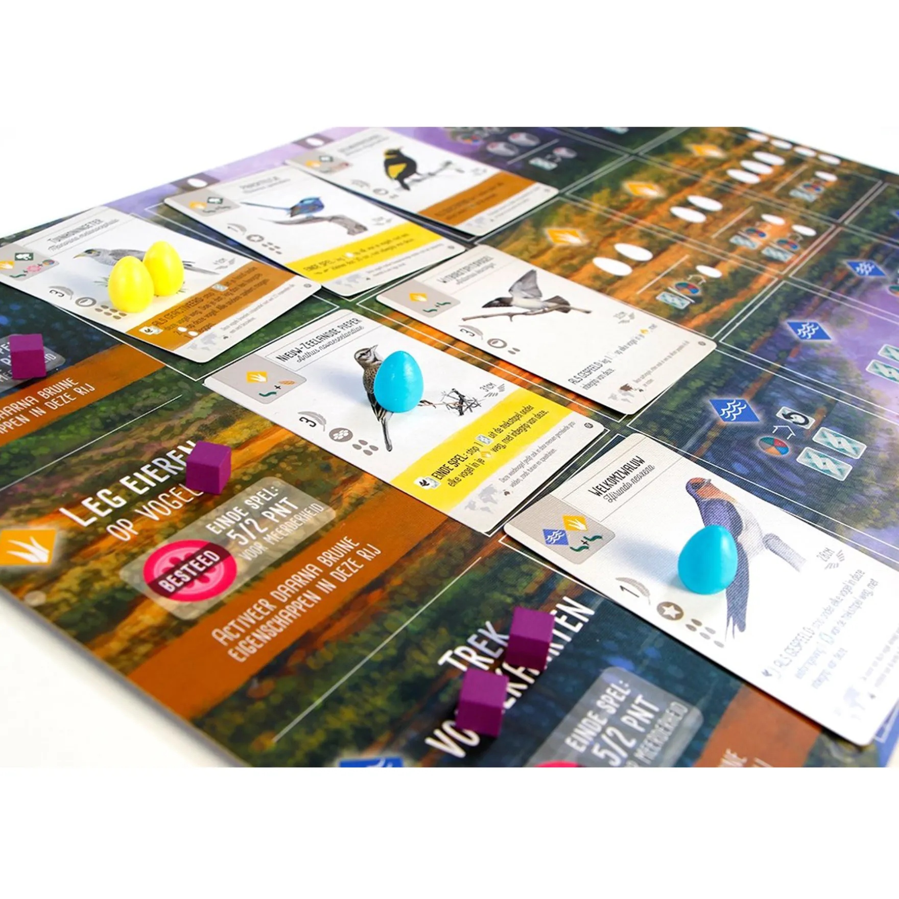 Wingspan Uitbreiding Oceanië - Bordspel